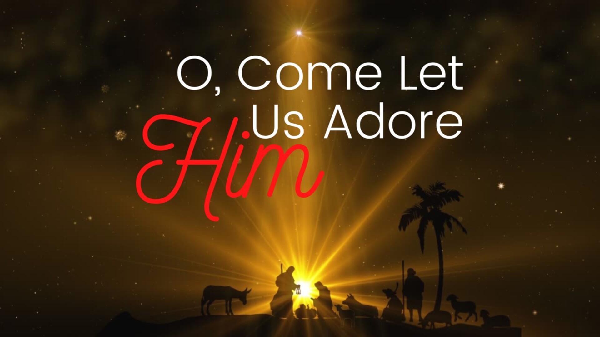 O' Come Let Us Adore Him Series